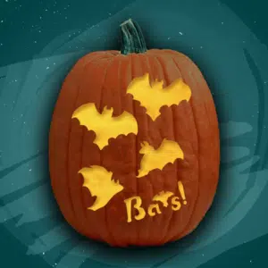Bats!
