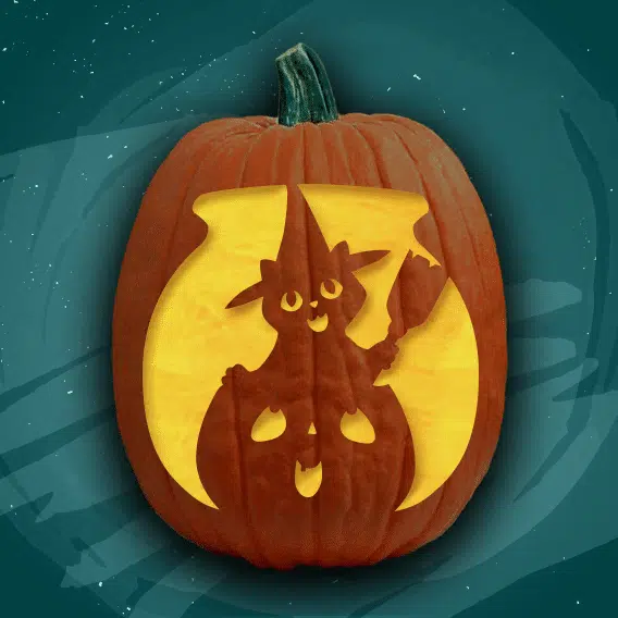 Kitten pumpkin best sale