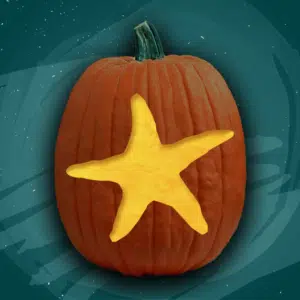 Classic Star
