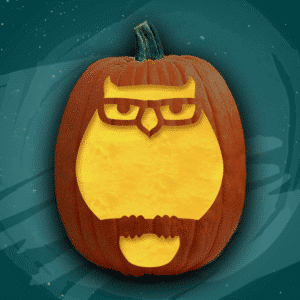 Hipster Owl
